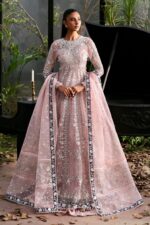 Afrozeh La Fuchsia 2025 | Zeal