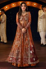 Nureh Jhoomro Luxury Chiffon | NL-80 Zardozi