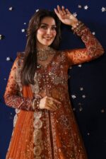 Nureh Jhoomro Luxury Chiffon | NL-80 Zardozi - Image 9