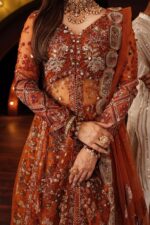 Nureh Jhoomro Luxury Chiffon | NL-80 Zardozi - Image 7