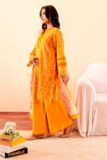 Mausummery Winter Khaddar Vol 3 2025 | AMBER - Image 6