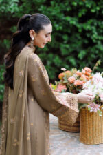 Ramsha Andaaz Luxury Lawn Vol 2 | Z-1210 - Image 3