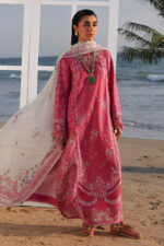 Qalamkar Sahil Luxury Lawn 2026 | SA-13 TARA - Image 3
