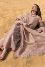 Rang Rasiya Premium Lawn 2026 | Elaheh - Image 5
