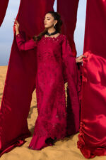 Rang Rasiya Premium Lawn 2026 | Rameen - Image 6