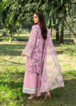 Elaf Chikankari Prints lawn 2026 | ERC-3A MAN MAYAL - Image 6