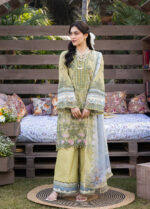 Elaf Chikankari Prints lawn 2026 | ERC-8B MENAH - Image 2