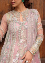 Crimson JhilMil Wedding 2026 | TILSAM - Image 8