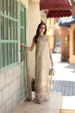 Noor luxe chikankari By Sadia Asad 2026 | D6 - A - Soft grey