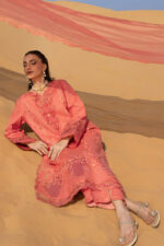 Rang Rasiya Premium Lawn 2026 | Elnaz - Image 4