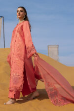 Rang Rasiya Premium Lawn 2026 | Elnaz - Image 8