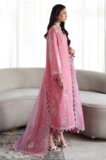 Qalamkar Qline Drop lawn II 2026 | QKL-02 ABEER - Image 7
