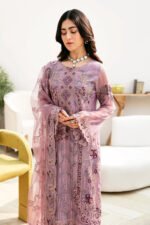 Ramsha Chiffon Stitched 2026 | size (M-L-XL) - Image 3
