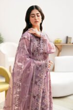 Ramsha Chiffon Stitched 2026 | size (M-L-XL) - Image 2