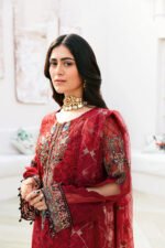 Ramsha Chiffon Stitched 2026 | size (M-L-XL) - Image 4