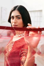 Ramsha Chiffon Stitched 2026 | size (M-L-XL) - Image 2