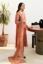 Ramsha Chiffon Stitched 2026 | size (M-L-XL) - Image 4