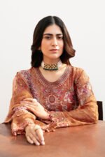 Ramsha Chiffon Stitched 2026 | size (M-L-XL) - Image 2