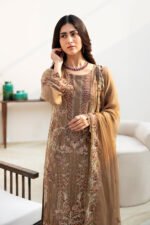 Ramsha Chiffon Stitched 2026 | size (M-L-XL) - Image 4