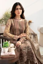 Ramsha Chiffon Stitched 2026 | size (M-L-XL) - Image 2