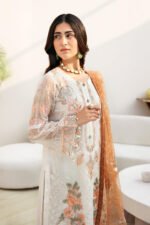 Ramsha Chiffon Stitched 2026 | size (M-L-XL) - Image 2