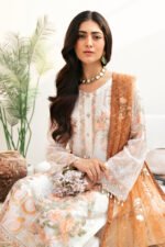 Ramsha Chiffon Stitched 2026 | size (M-L-XL) - Image 3