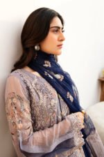 Ramsha Chiffon Stitched 2026 | size (M-L-XL) - Image 2