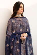 Ramsha Chiffon Stitched 2026 | size (M-L-XL) - Image 3