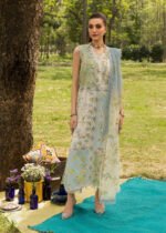 Bloom Lawn 2026 by Saira Shakira | LANA 3-A
