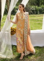 Saira Shakira Online Collection