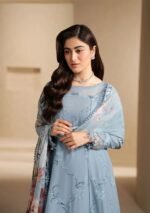 Elaf Ecraft Chikankari Chiffon Duppta 2026 | EHC-5B PACIFIC - Image 4