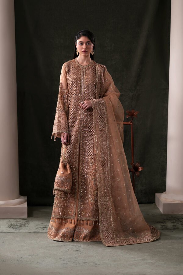 Starlit Jewels Festive by Emaan Adeel 2026 | Hessonite