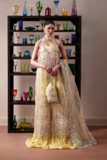 emaan adeel collection