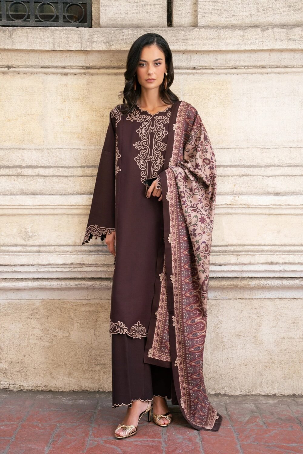 Rang Rasiya Sable ready to wear suit front view