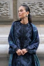 Rang Rasiya Raven embroidered detail