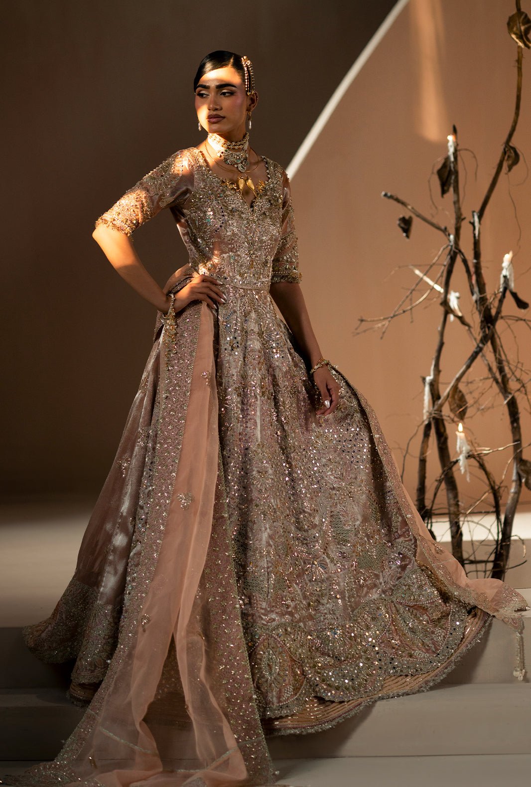 Rang E Noor - Fabric Detail
