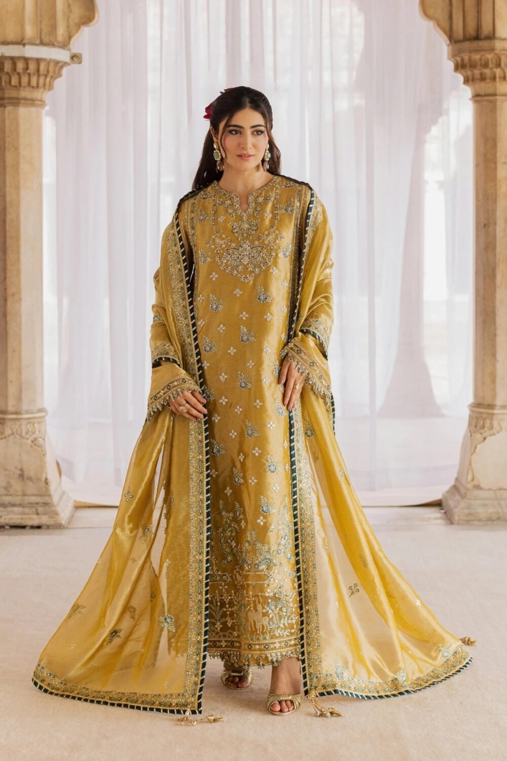 Rang Rasiya Dora ready to wear suit front view